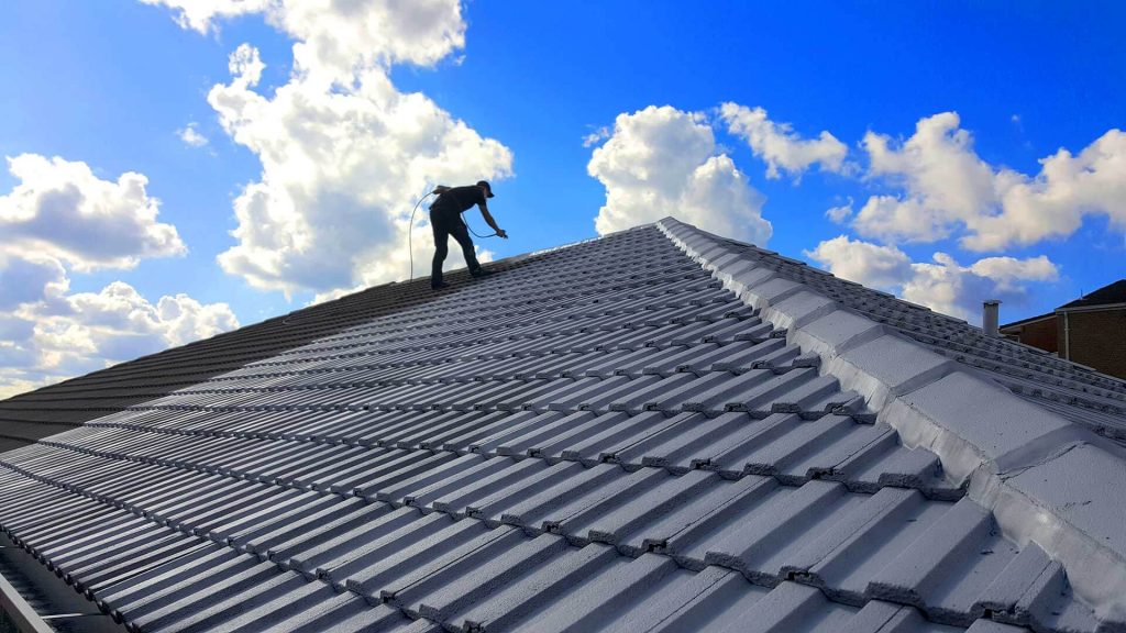 Roof Painting